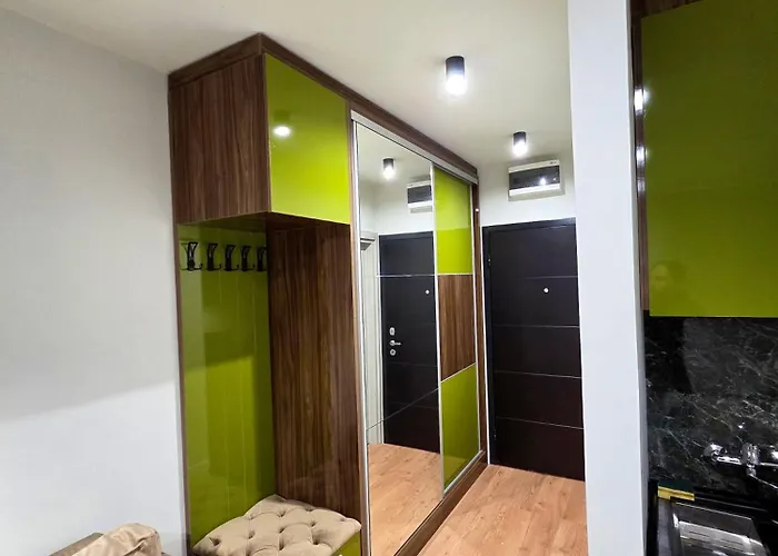 Mist C113 - Bela Reka *