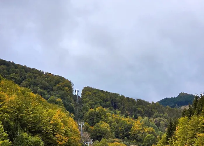 Mist C113 - Bela Reka Lejlighed Brzeće