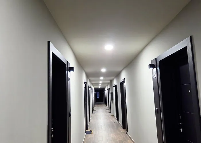 Mist C113 - Bela Reka * Brzeće